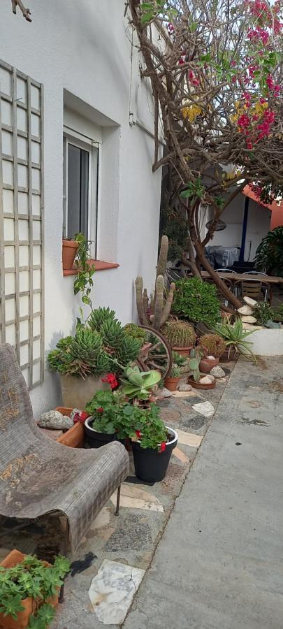 Can Juvimar El Poble Nou del Delta Εξωτερικό φωτογραφία
